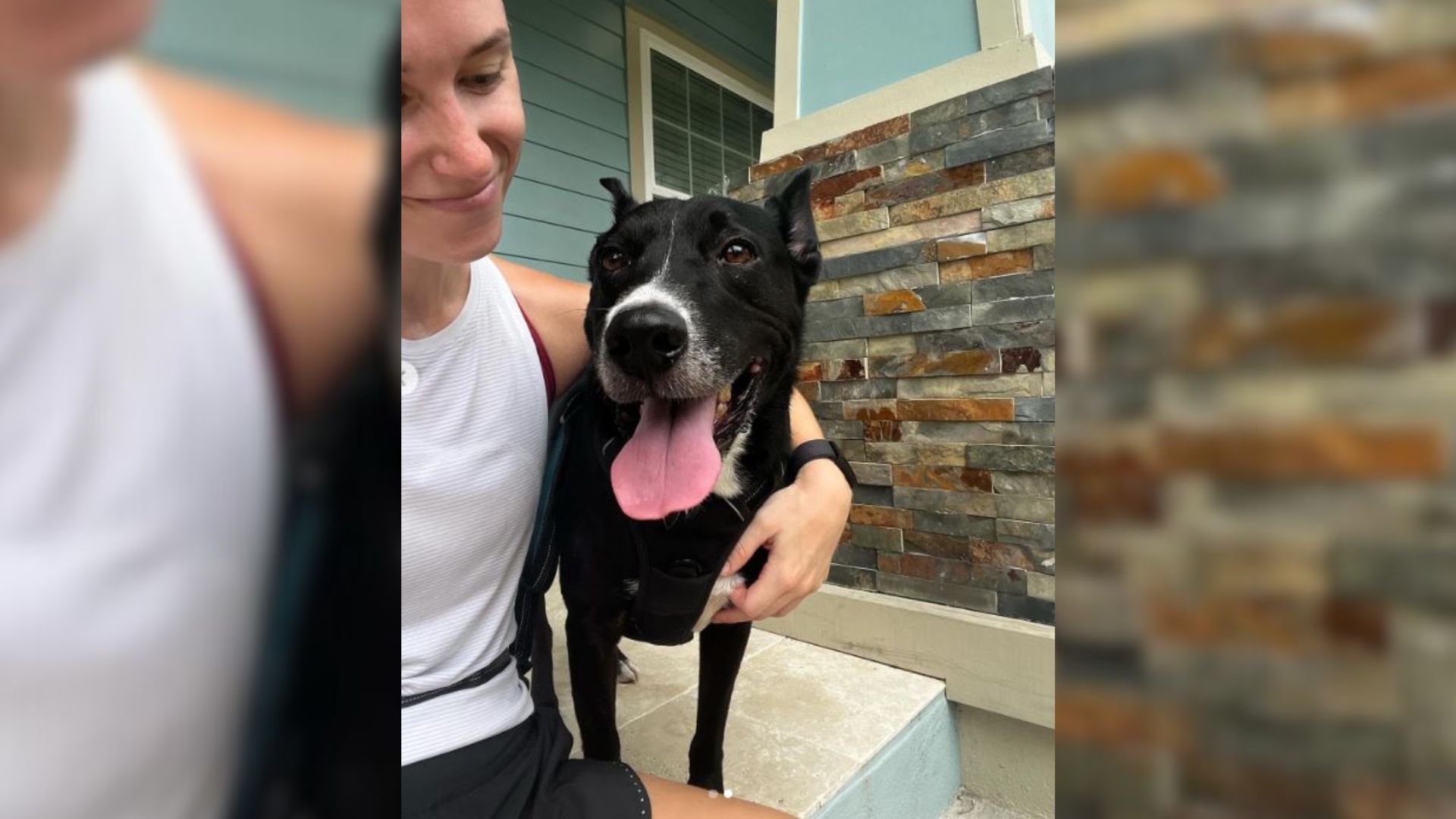 happy dog with young woman sitting on porch