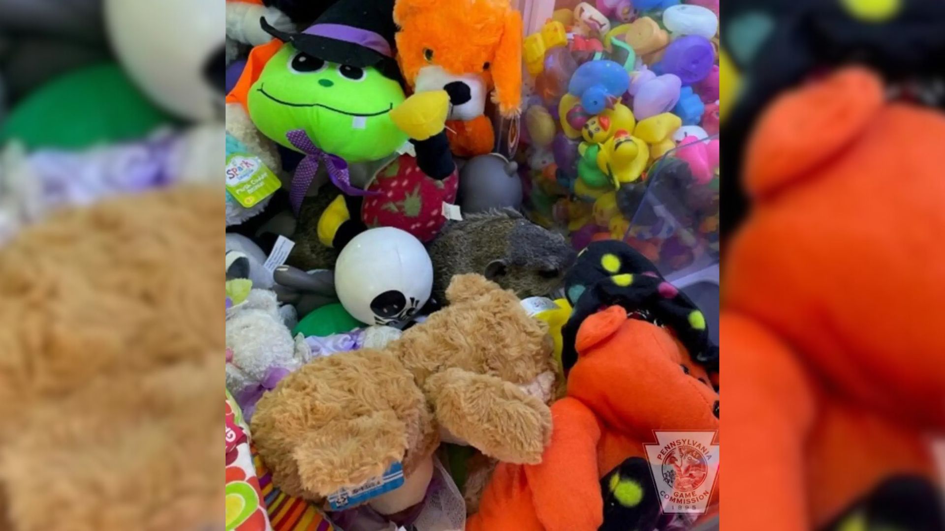 Kid Was Playing On The Claw Machine And Then Saw Something Suspicious Inside