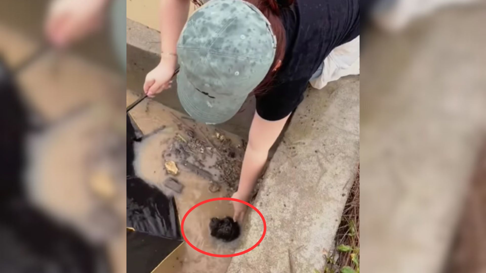 kind woman helping drowning dog