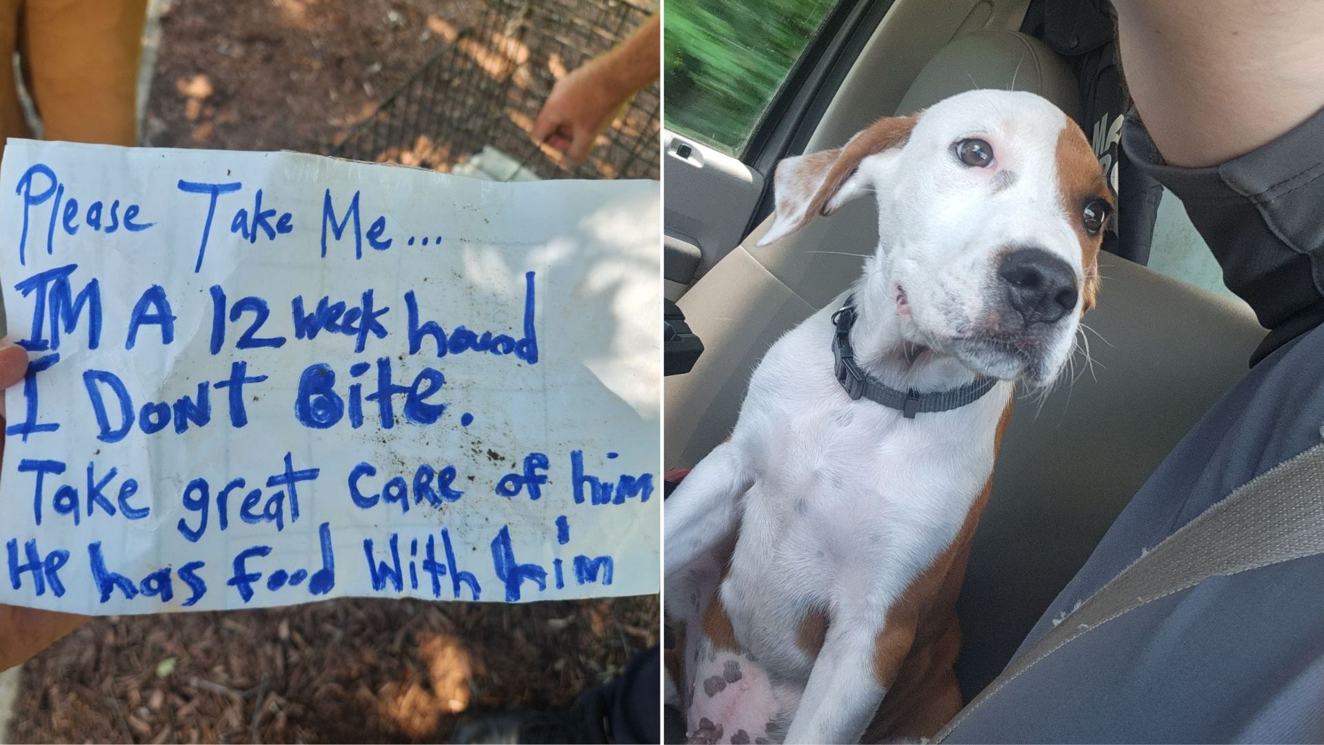 Officers Were Stunned When They Read The Note Found Next To The Abandoned Puppy