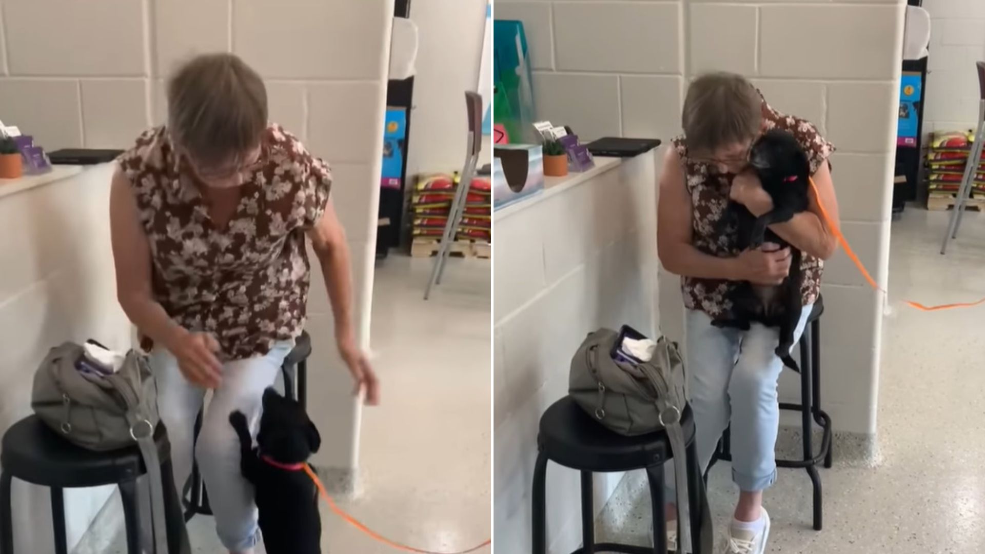 Woman Had To Give Up Her Dog For Adoption But Then Something Amazing Happened