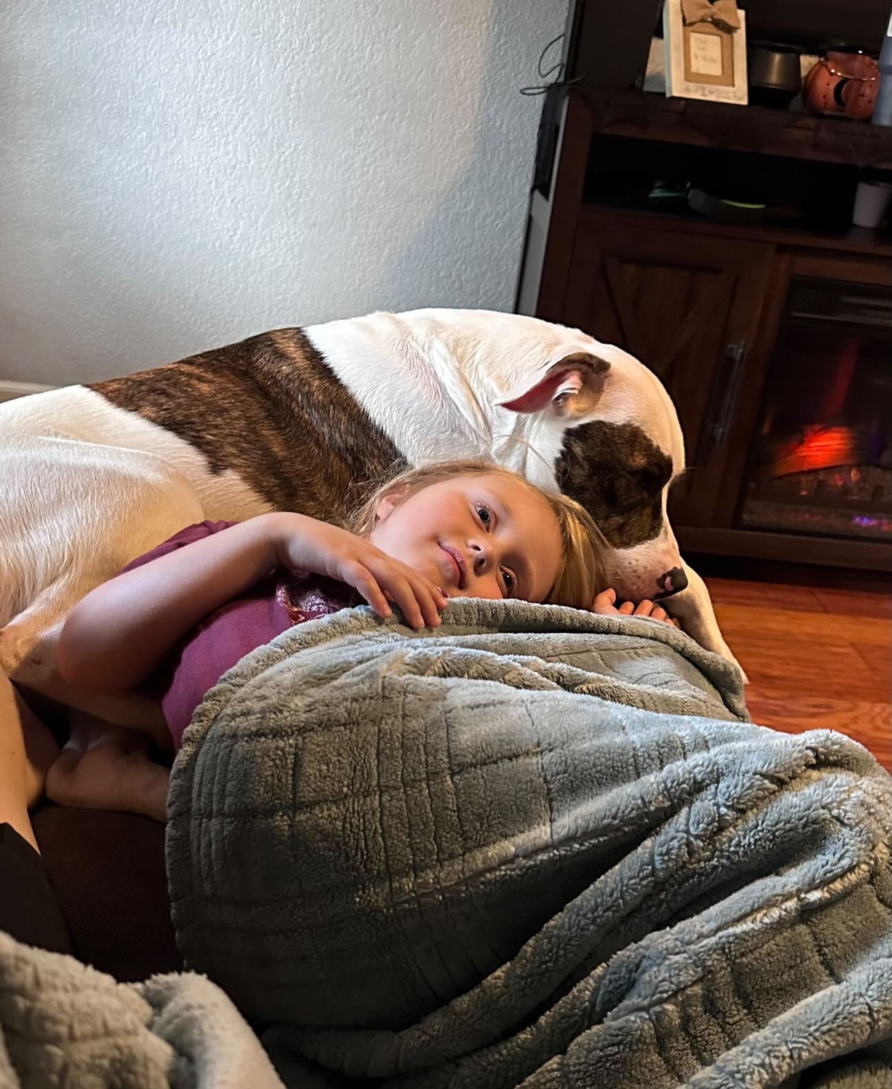 a dog with little girl lying on the couch