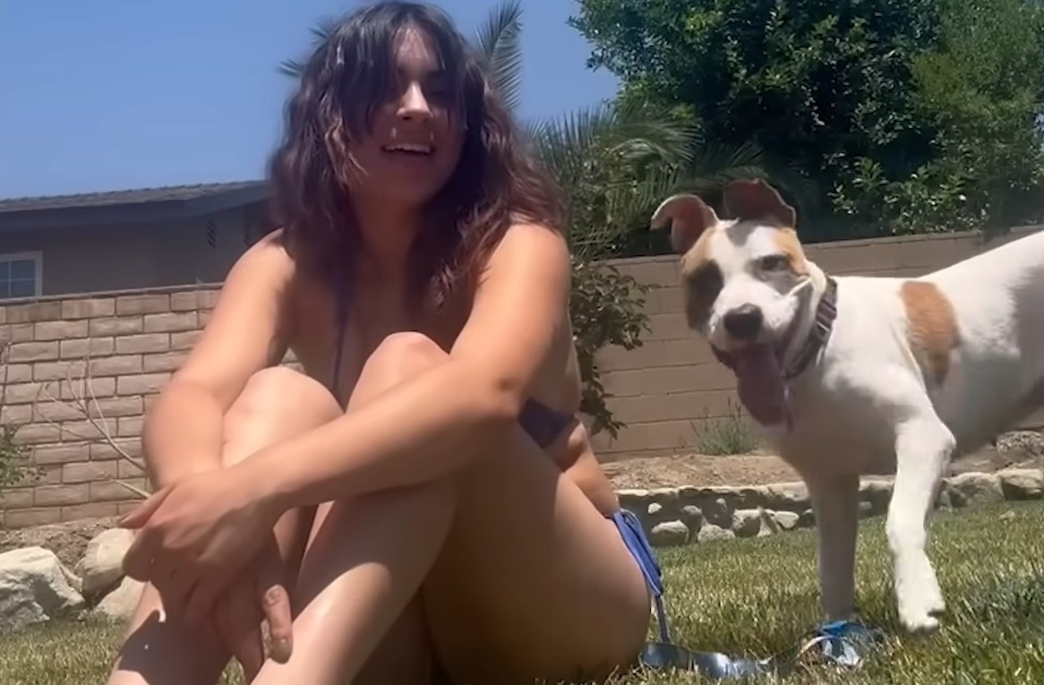 a little girl takes a picture with a playful dog