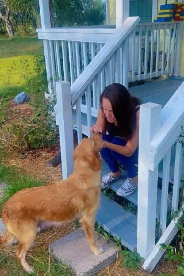 a woman is sitting on the stairs stroking a golden retriever