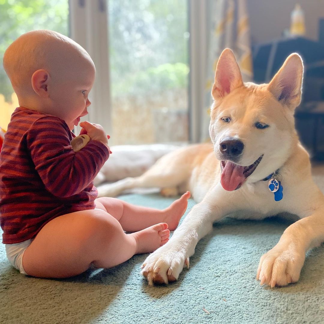 baby and dog