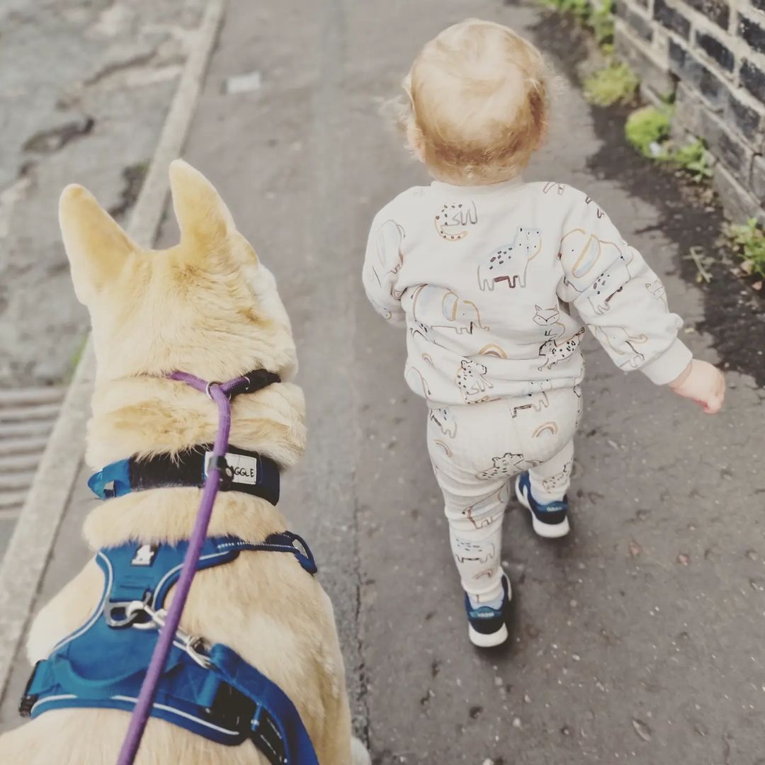 dog and kid walking