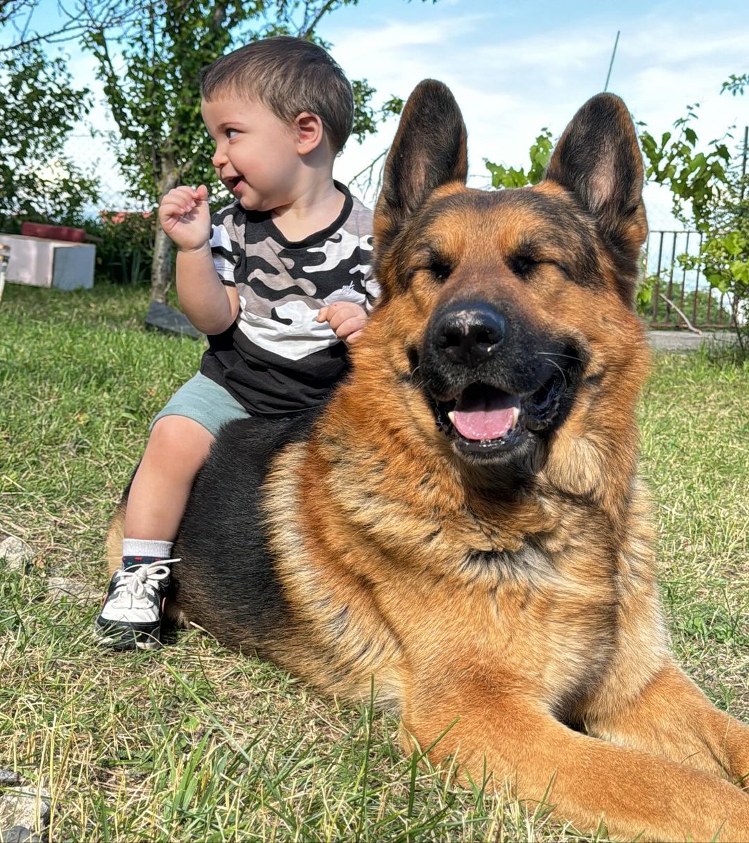 kid sitting on a dog