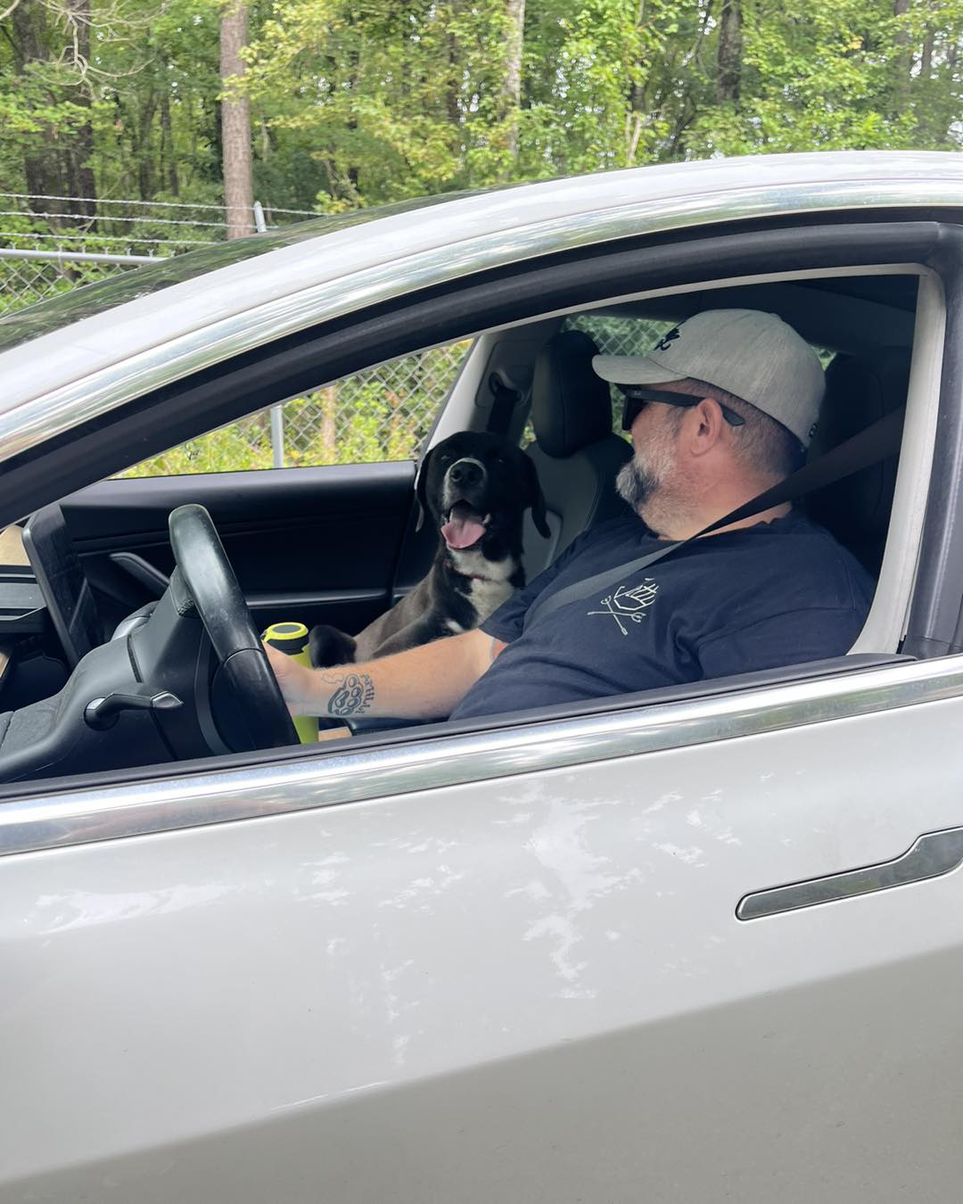 man and dog in a car