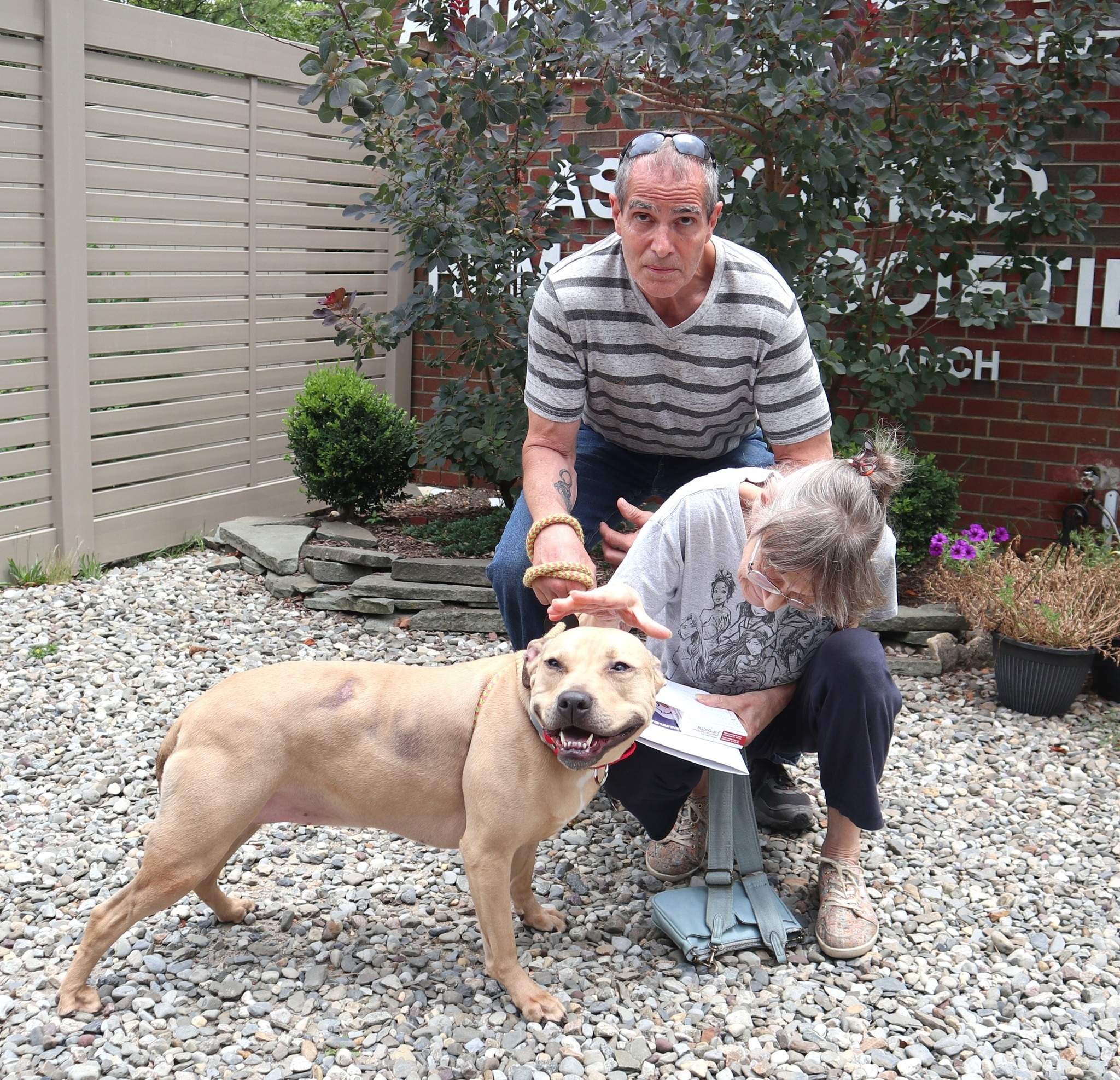 man and woman with pittie in yard