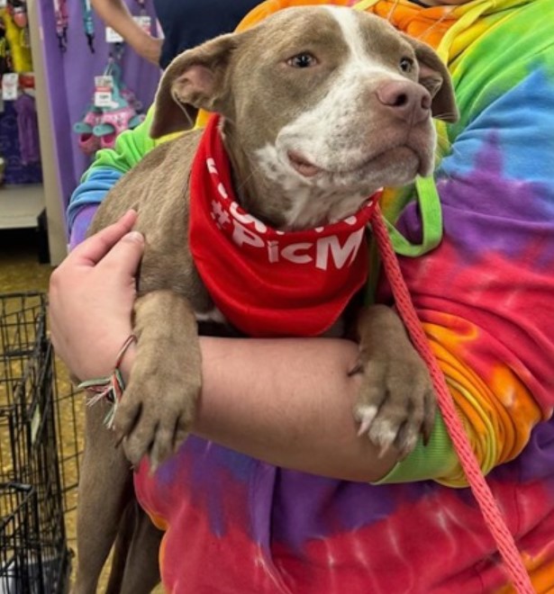 man in hoodie holding dog