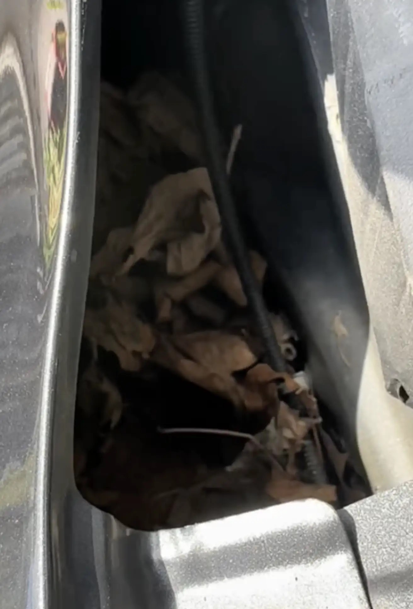 nest in a car