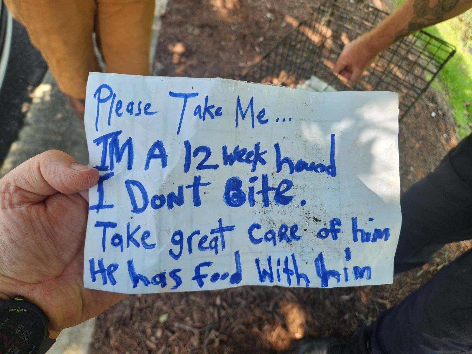 note for dog