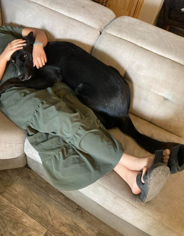 the dog lies in the arms of the woman on the couch