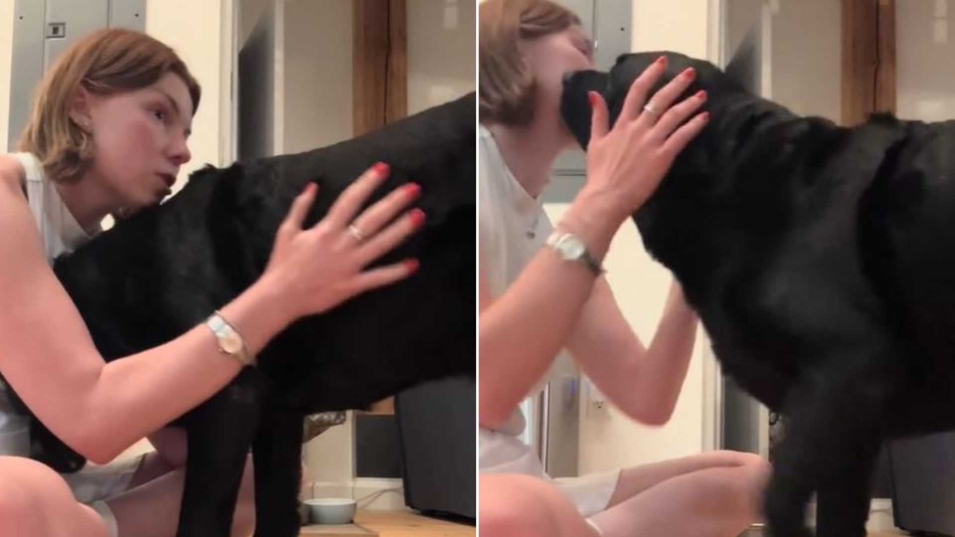 Dog Sitter Says Final Goodbye To Her All-Time Favorite Pup After Two And A Half Years Together