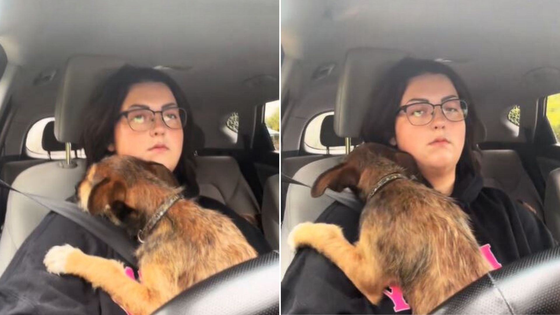 Rescue Dog Abandoned By The Roadside Has A Traumatic Reaction To Car Rides That Breaks Heart