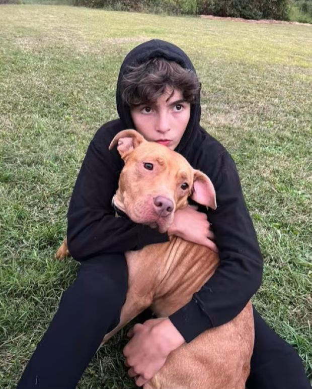 a boy sits on the grass and hugs his dog