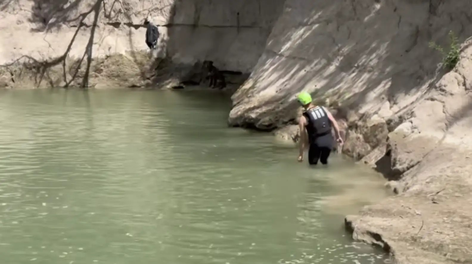 a man approaches a dog standing by the water