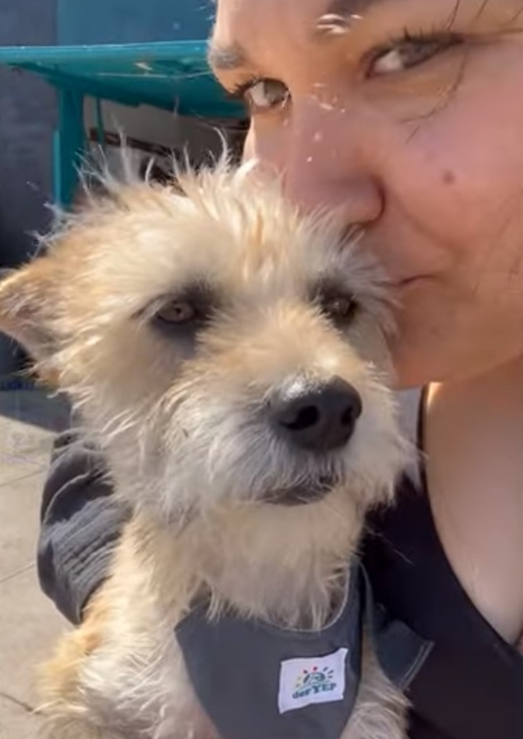 a woman kisses a dog and takes a picture