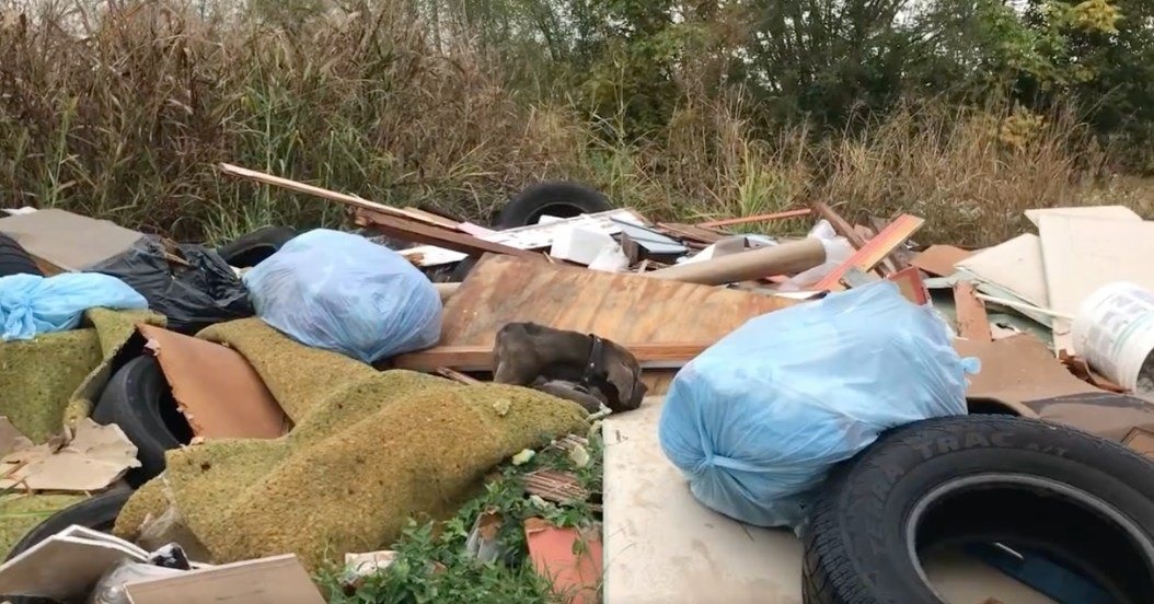 dog sleeping on a trash pile