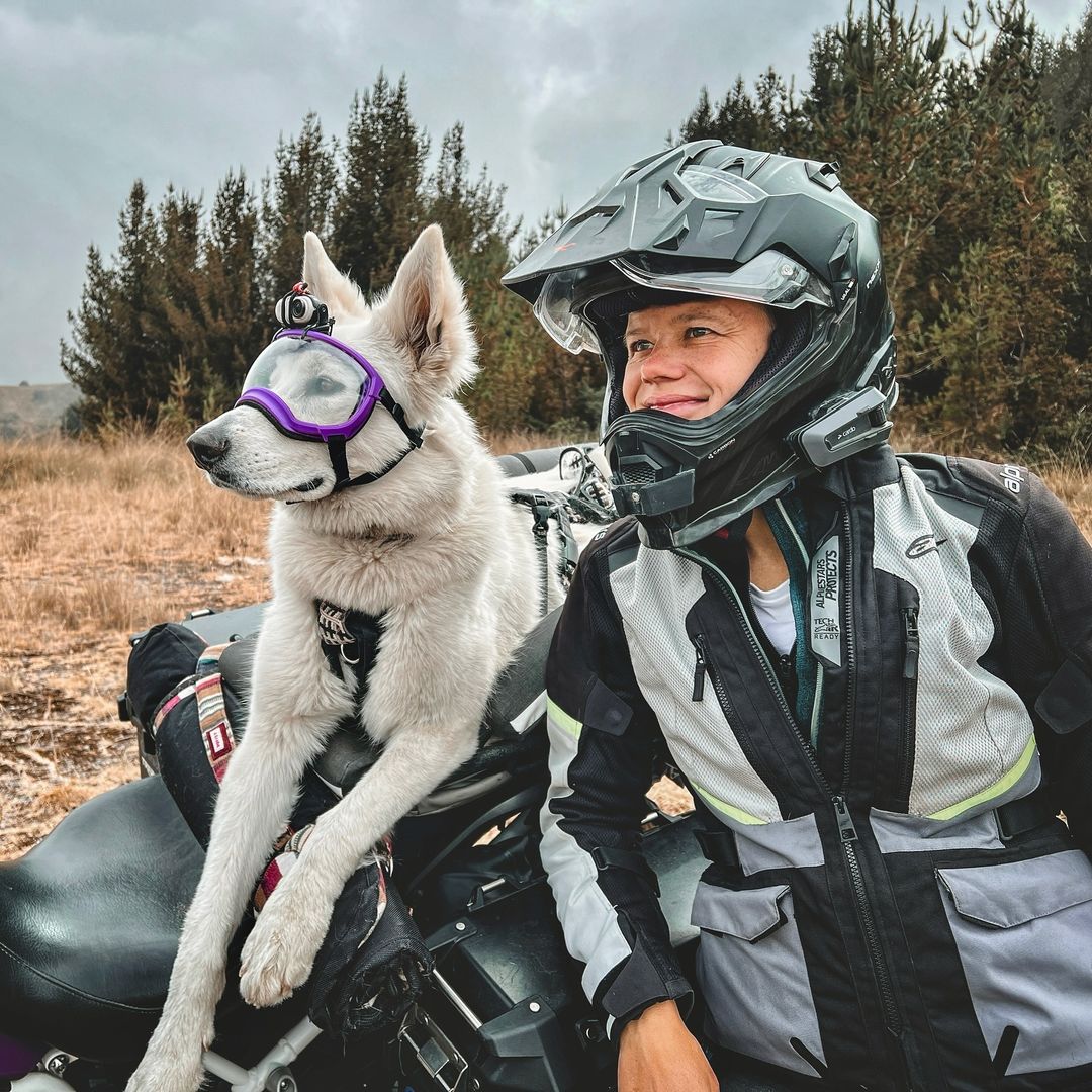 dog with woman on a bike