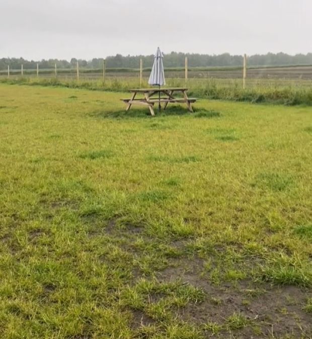 field with benches