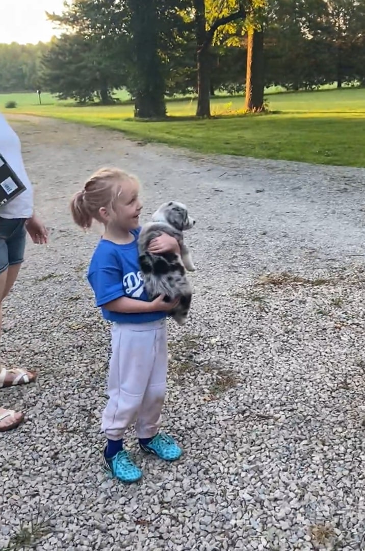 little girl holding a puppy