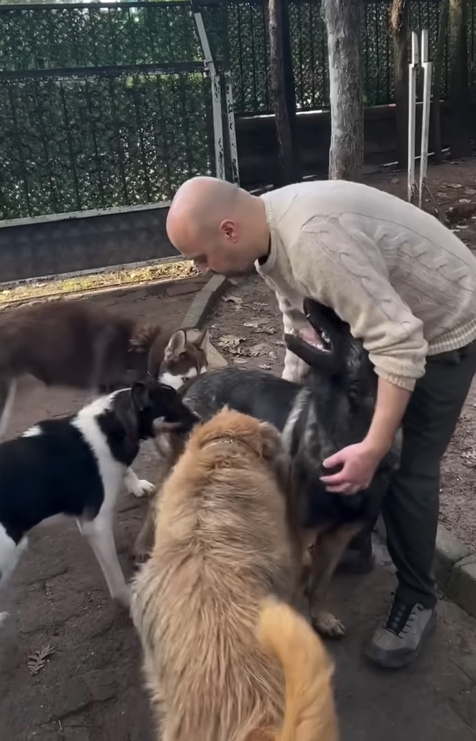 man and four dogs