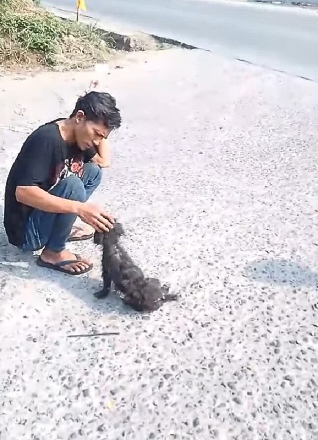 man and stray dog