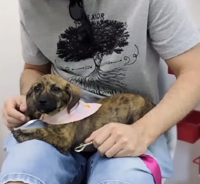 man and very cute adopted dog