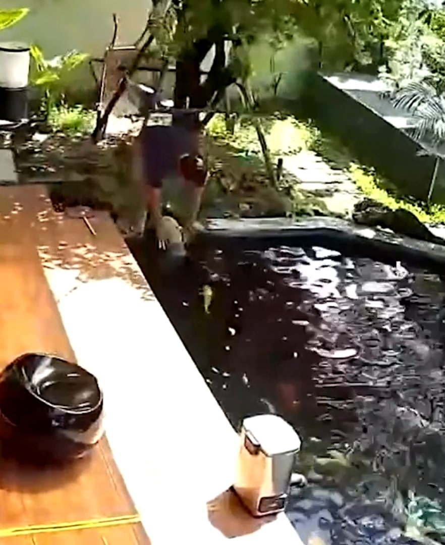 man getting dog out of fish pond