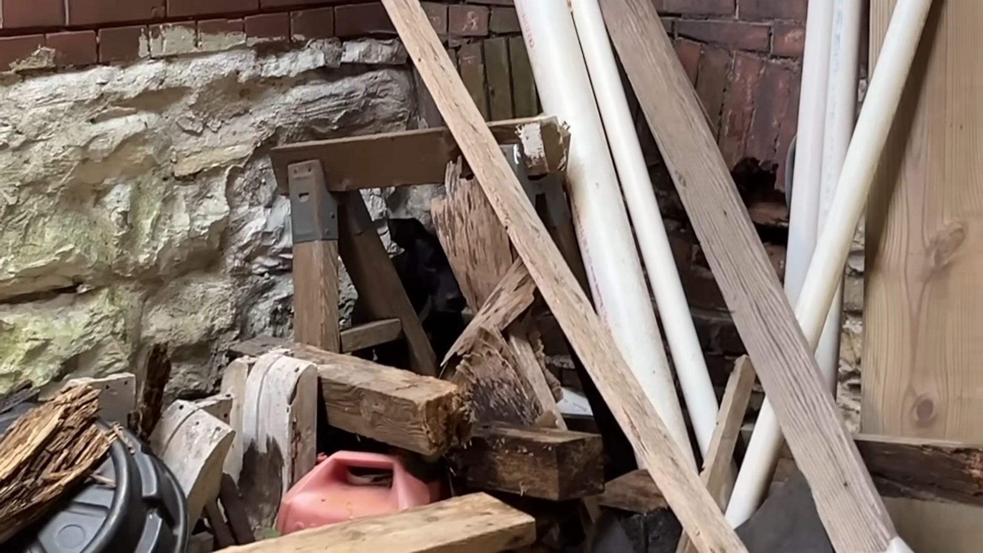 pup hiding in a pile of trash