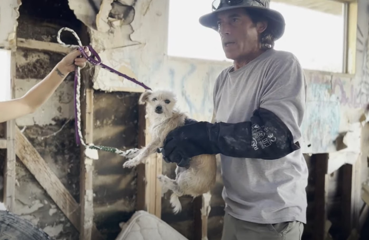 rescuer holding dog