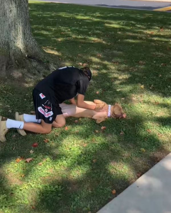 the boy is playing in the park with the dog