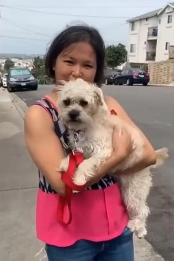 the woman is holding a poodle in her arms