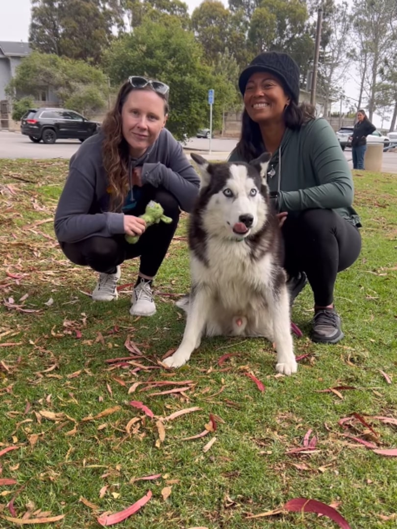 two girls with a husky