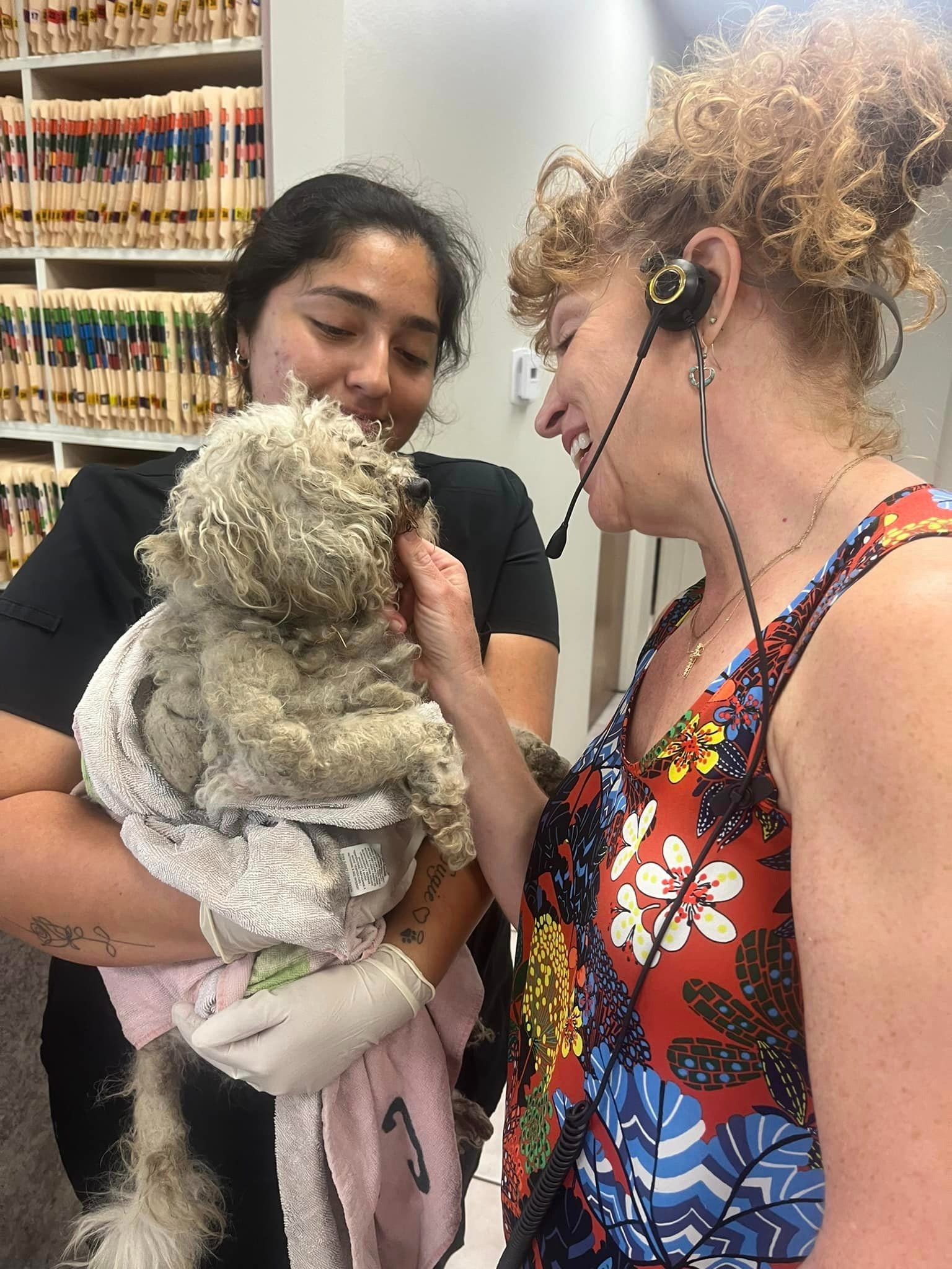 two women draging a dog