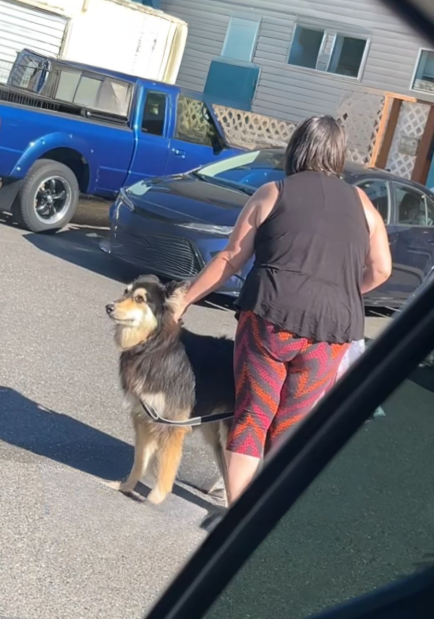 woman and dog in parking lot