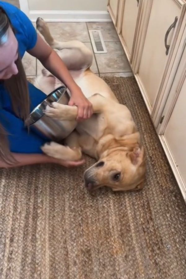 woman cuddling with dog lying