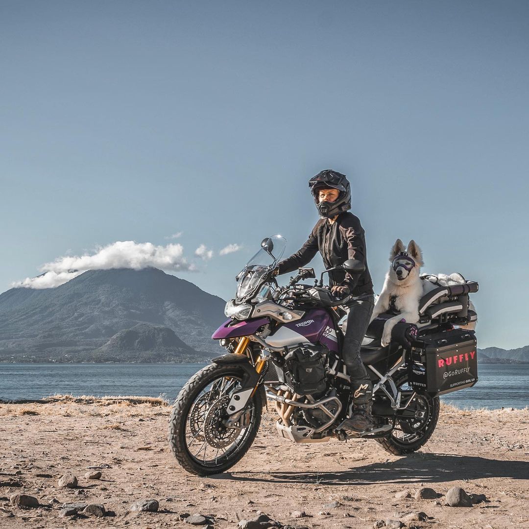 woman driving a dog on a bike