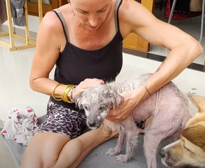 woman helping the pup