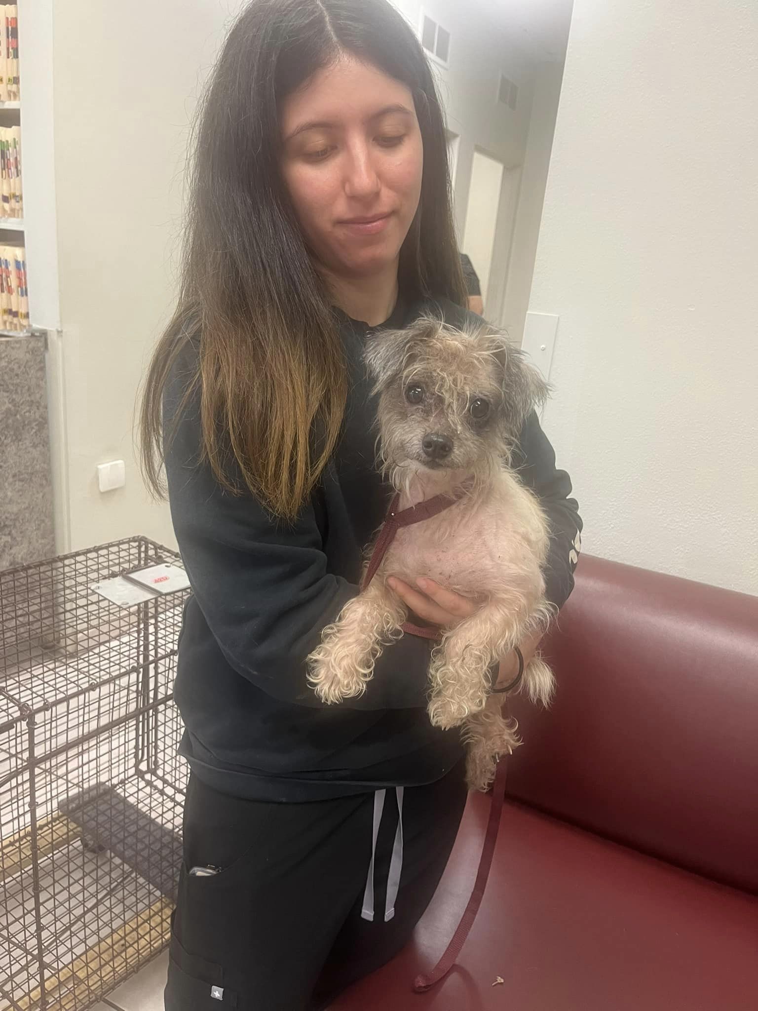 woman holding a dog