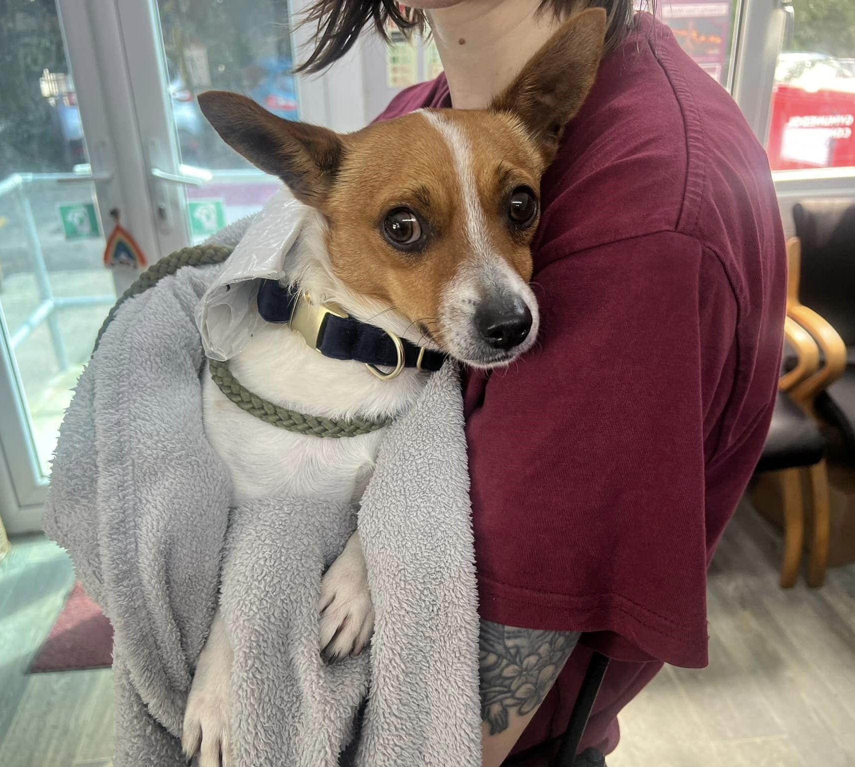 woman holding a scared dog