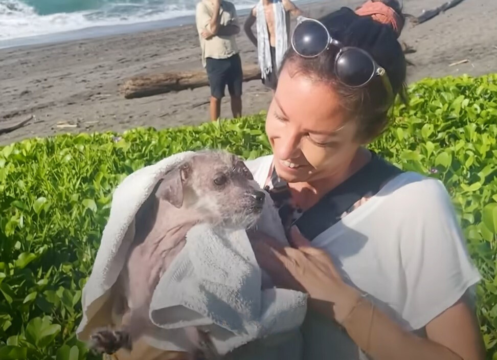 woman holding a scared pup