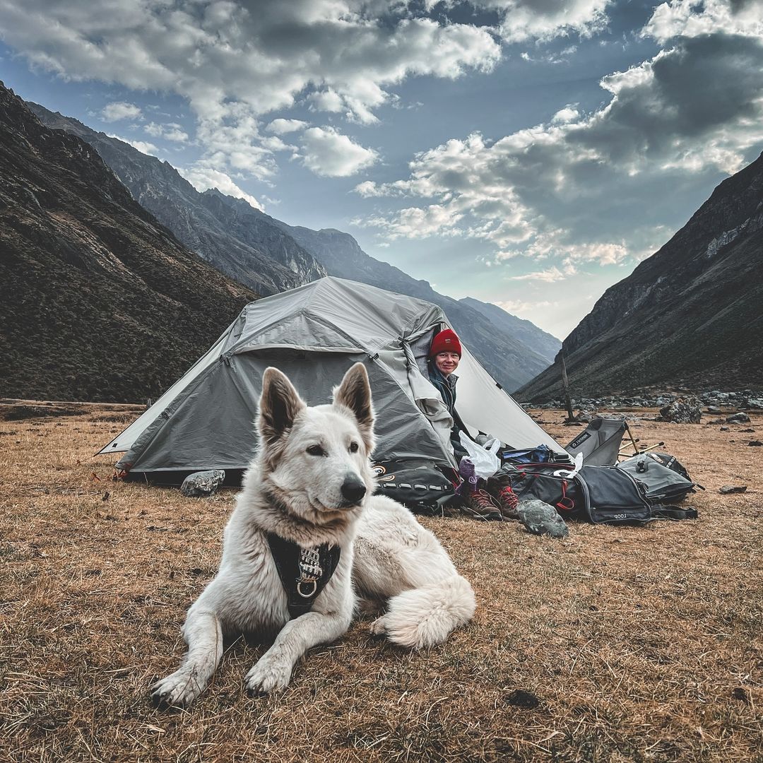 woman in tent and white dog