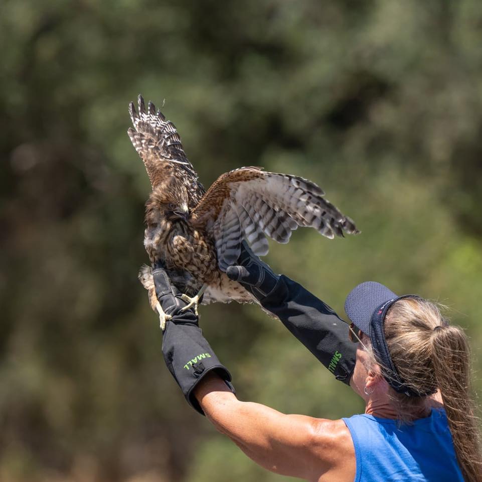 woman releasing a bird