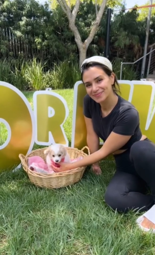 woman sitting next to a puppy in a basket