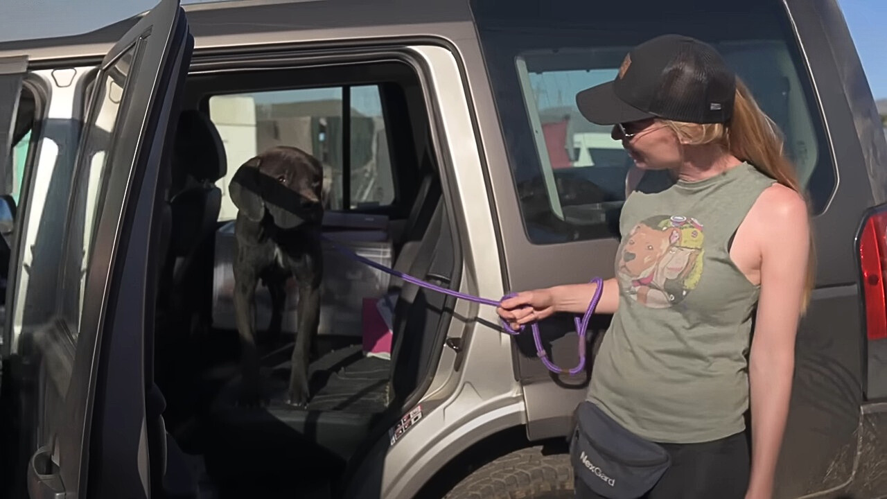 woman with black dog in car