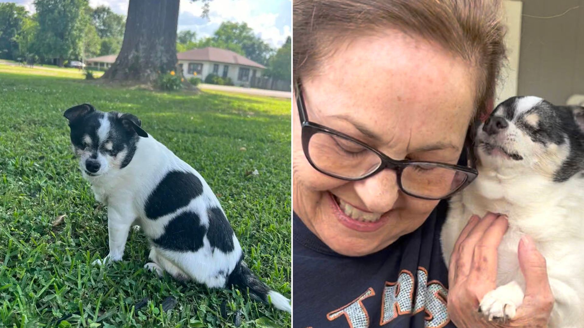 woman and a blind dog