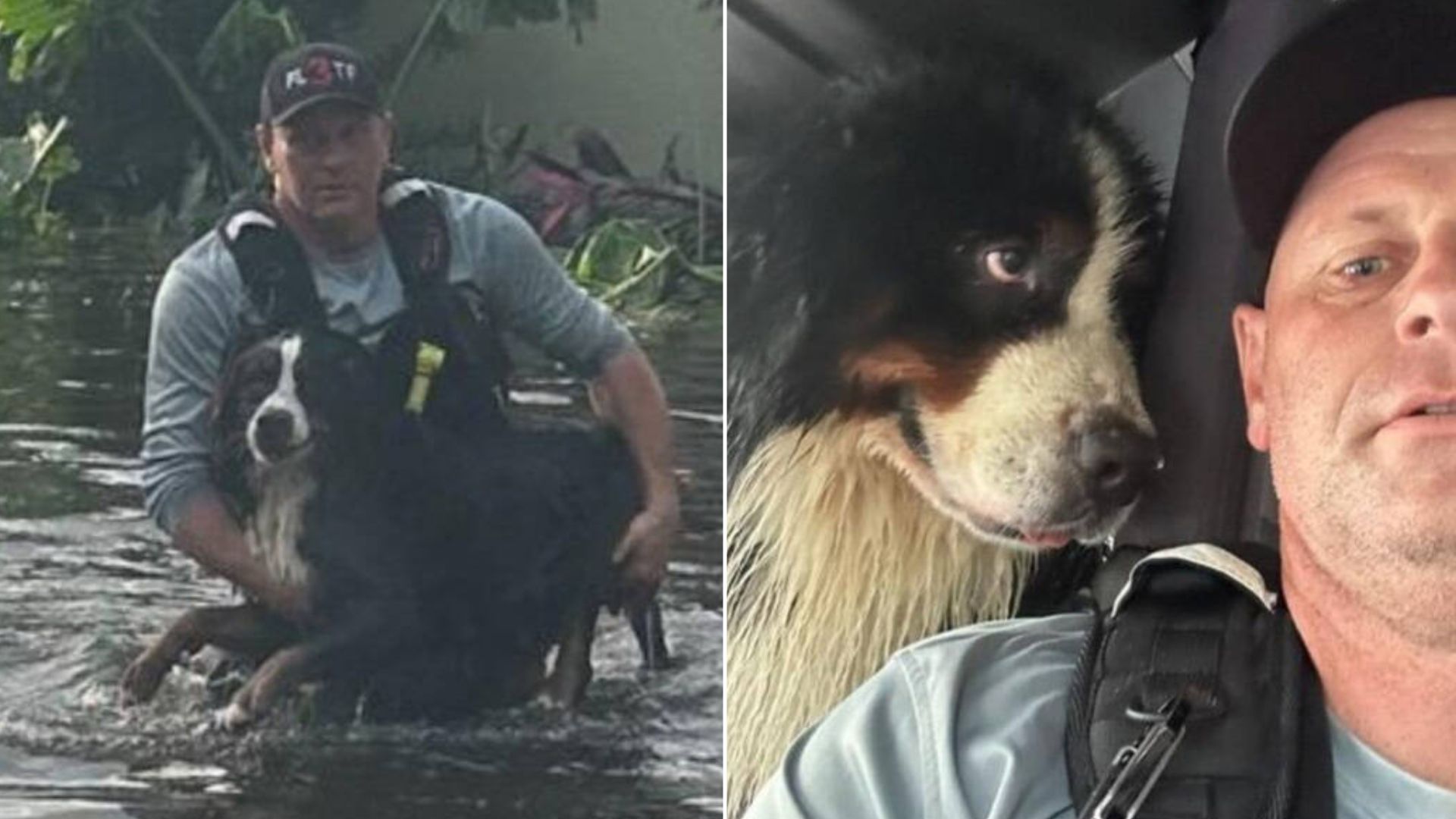 Dog Locked His Thankful Eyes On His Hero After Being Saved From The Floods