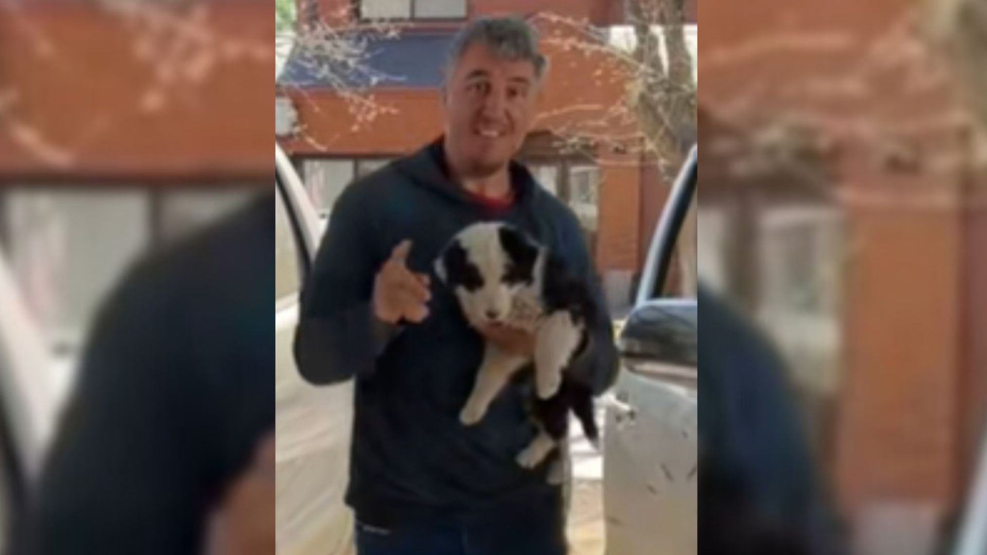 Man Who Adopted A Puppy Brought Home His Brother